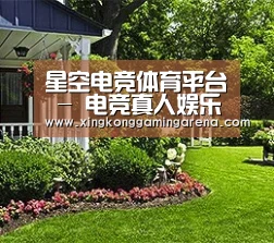 星空电竞体育平台 - 电竞真人娱乐体验
