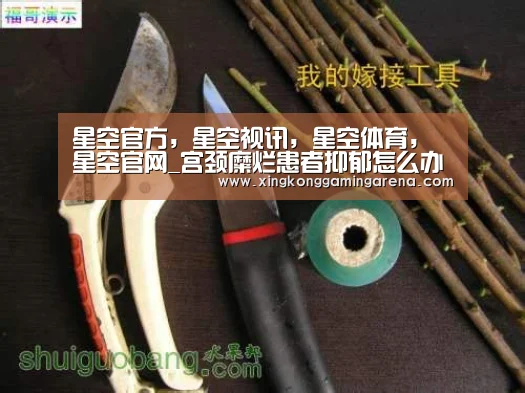 星空官方，星空视讯，星空体育，星空官网
